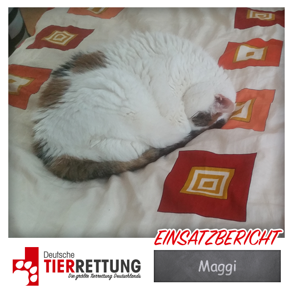 Tierrettung Einsatz: Maggi in Bottrop