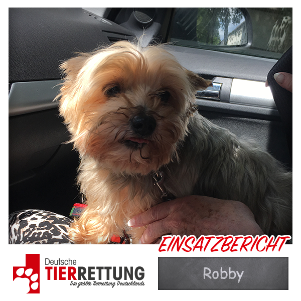 Tierrettung Einsatz: Robby in Essen