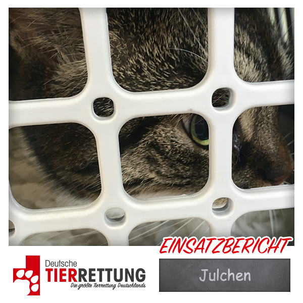 Tierrettung Einsatz: Julchen in Recklinghausen
