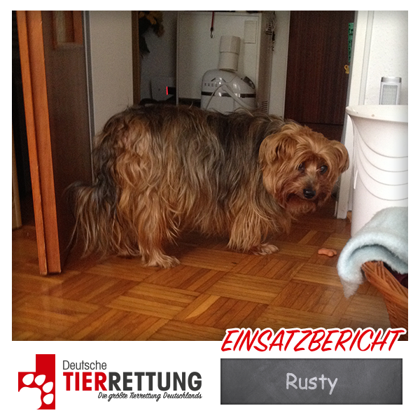 Tierrettung Einsatz: Rusty in Essen