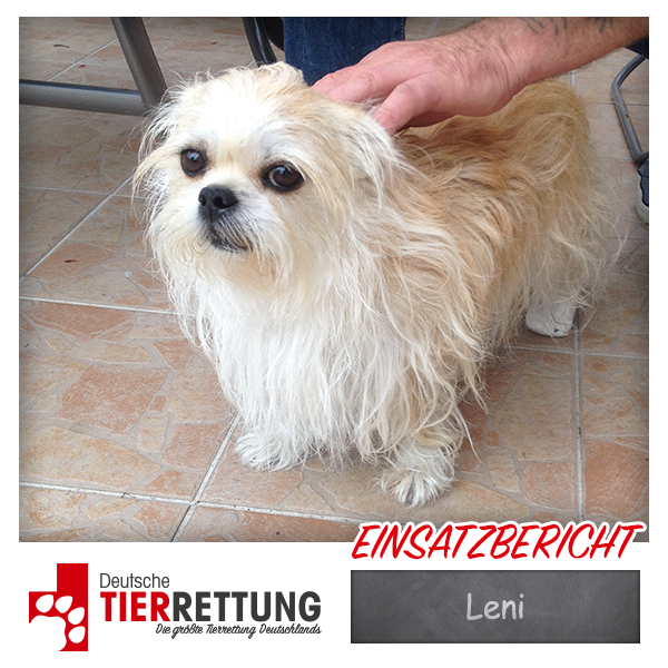 Tierrettung Einsatz: Leni in Gelsenkirchen