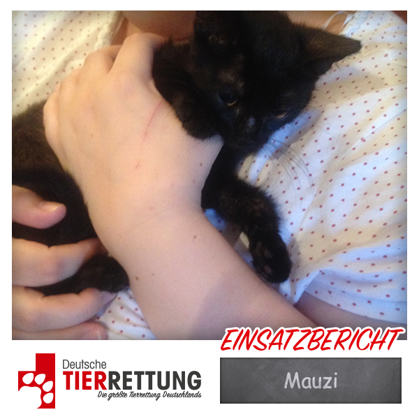 Tierrettung Einsatz: Mauzi in Witten