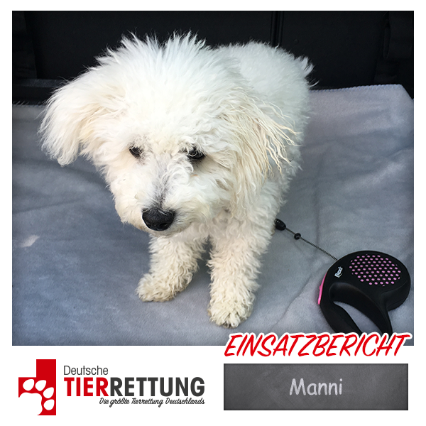 Tierrettung Einsatz: Manni in Bottrop