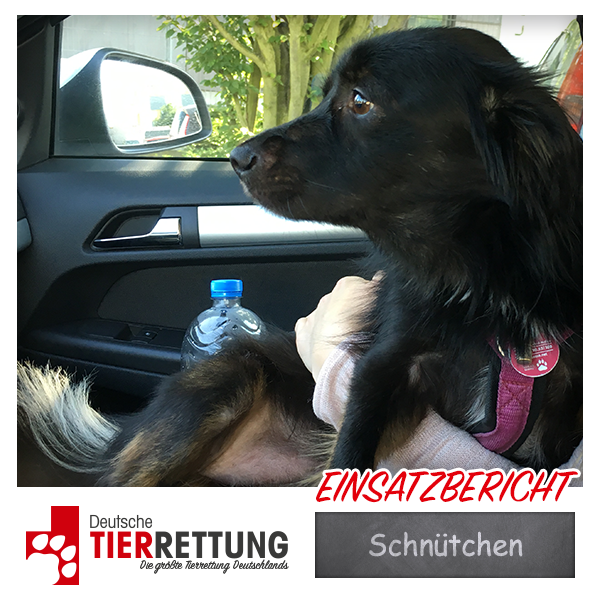 Tierrettung Einsatz: Schnütchen in Duisburg