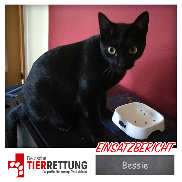 Tierrettung Einsatz: Bessie in Witten