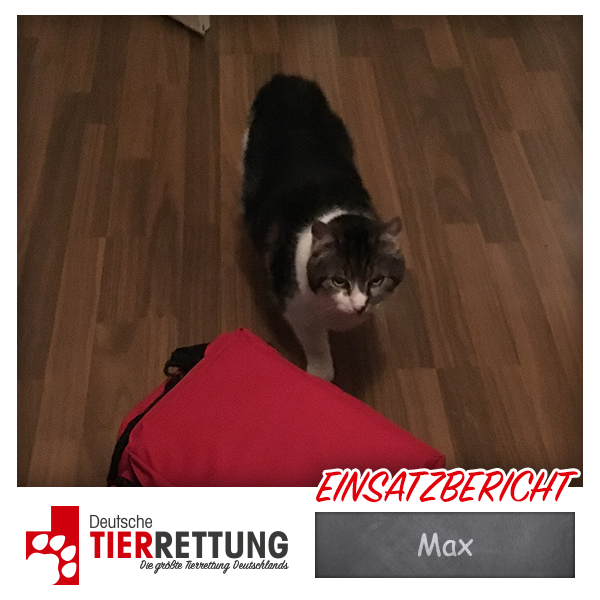 Tierrettung Einsatz: Max in Krefeld