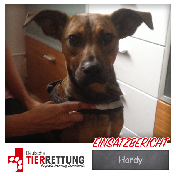 Tierrettung Einsatz: Hardy in Gelsenkirchen