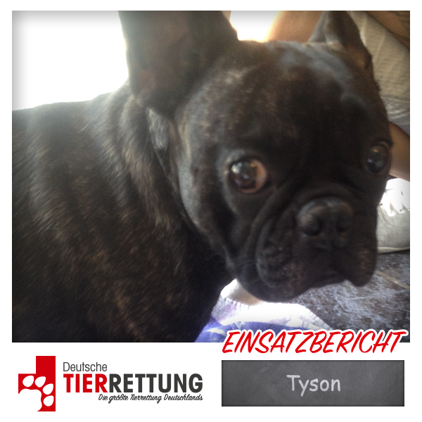Tierrettung Einsatz: Tyson in Castrop-Rauxel