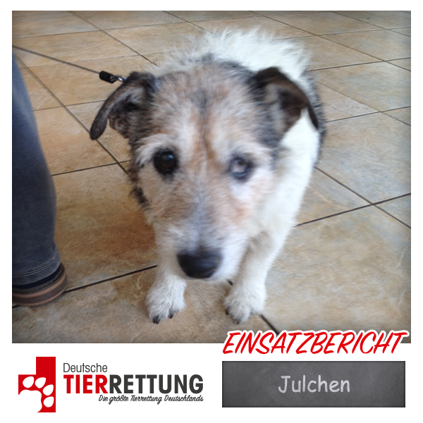 Tierrettung Einsatz: Julchen in Witten