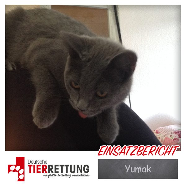 Tierrettung Einsatz: Yumak in Gelsenkirchen