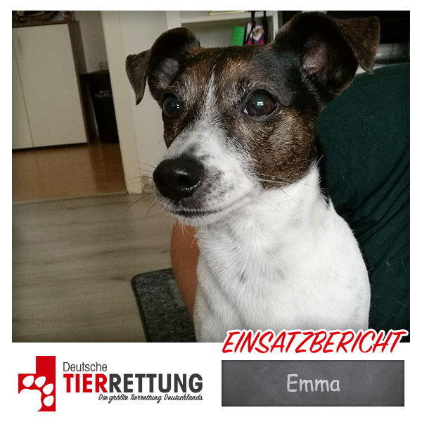 Tierrettung Einsatz: Emma in Oberhausen