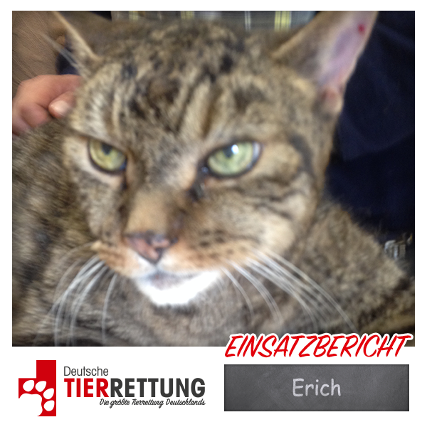 Tierrettung Einsatz: Erich in Witten