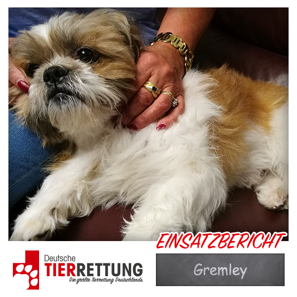 Tierrettung Einsatz: Gremley in Dortmund