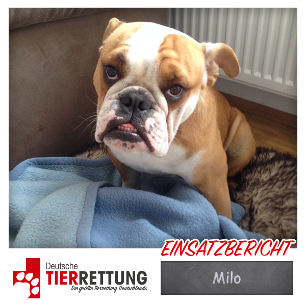 Tierrettung Einsatz: Milo in Dortmund