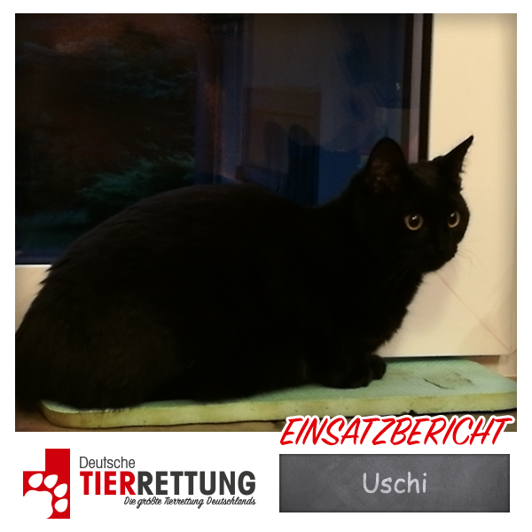Tierrettung Einsatz: Uschi in Dortmund
