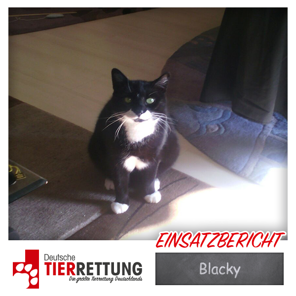 Tierrettung Einsatz: Blacky in Oberhausen