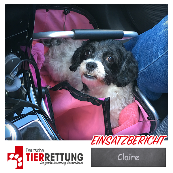 Tierrettung Einsatz: Claire in Bochum