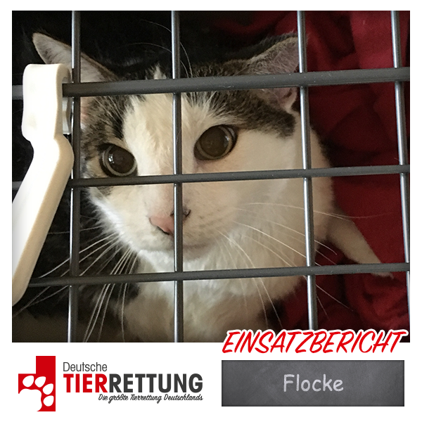 Tierrettung Einsatz: Flocke in Gelsenkirchen