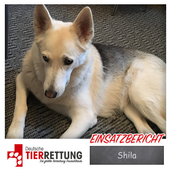 Tierrettung Einsatz: Shila in Marl