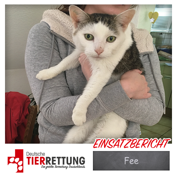 Tierrettung Einsatz: Fee in Dortmund