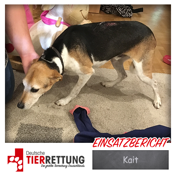 Tierrettung Einsatz: Kait in Recklinghausen