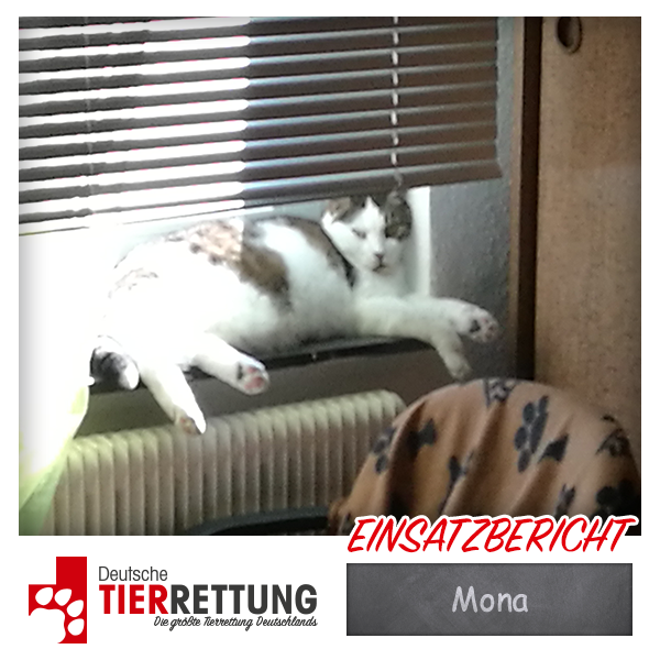 Tierrettung Einsatz: Mona in Dortmund