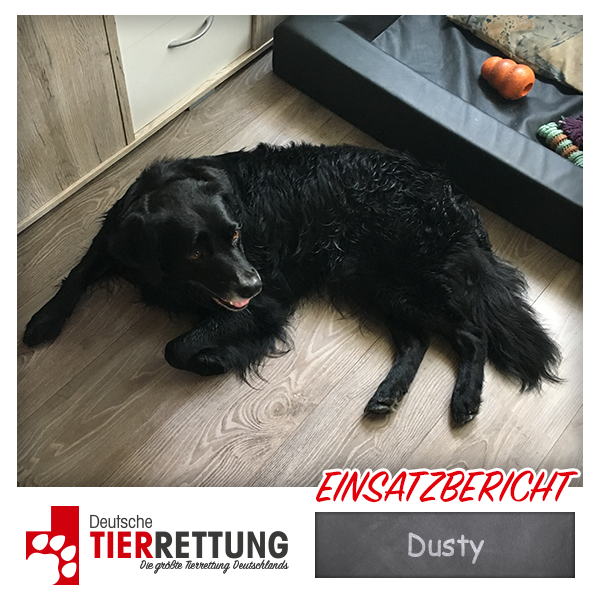 Tierrettung Einsatz: Dusty in Waltrop