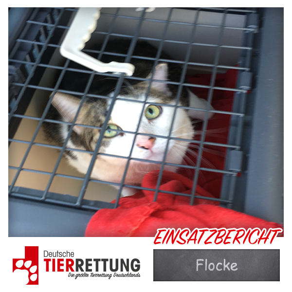 Tierrettung Einsatz: Flocke in Gelsenkirchen