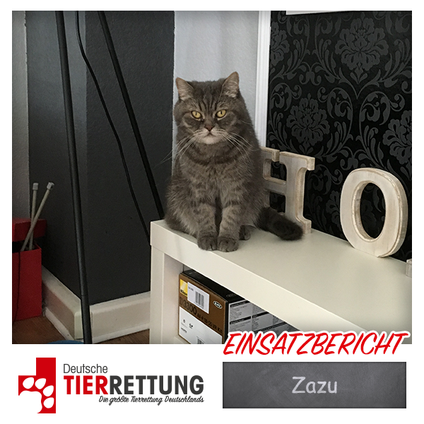 Tierrettung Einsatz: Zazu in Essen