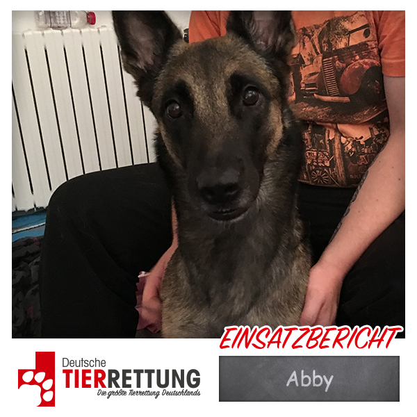 Tierrettung Einsatz: Abby in Dortmund