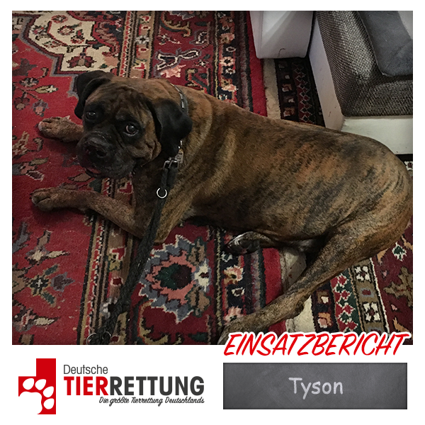 Tierrettung Einsatz: Tyson in Dortmund