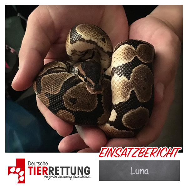 Tierrettung Einsatz: Luna in Oberhausen