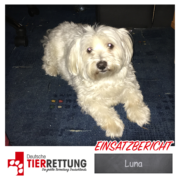 Tierrettung Einsatz: Luna in Essen