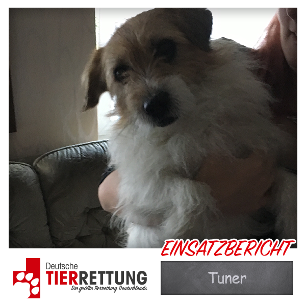 Tierrettung Einsatz: Tuner in Recklinghausen