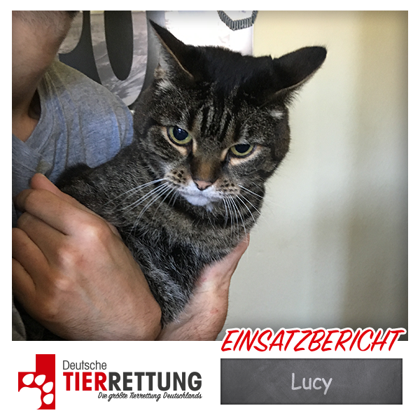 Tierrettung Einsatz: Lucy in Gladbeck