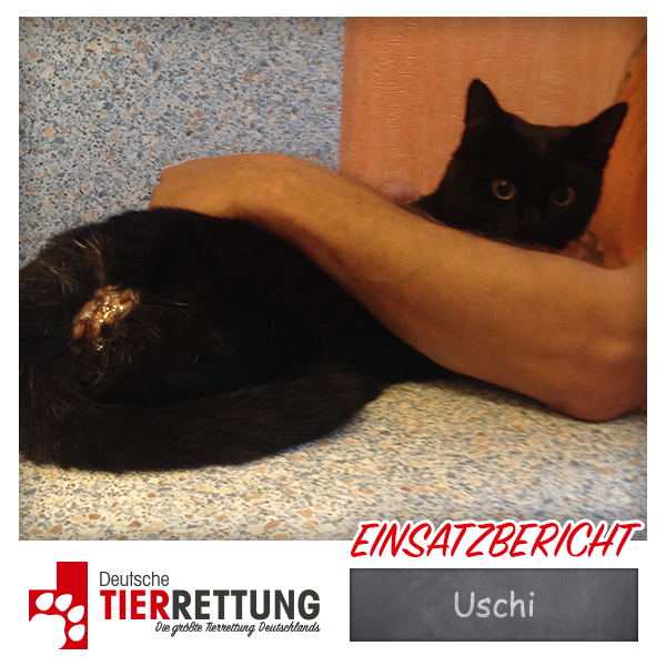 Tierrettung Einsatz: Uschi in Dortmund