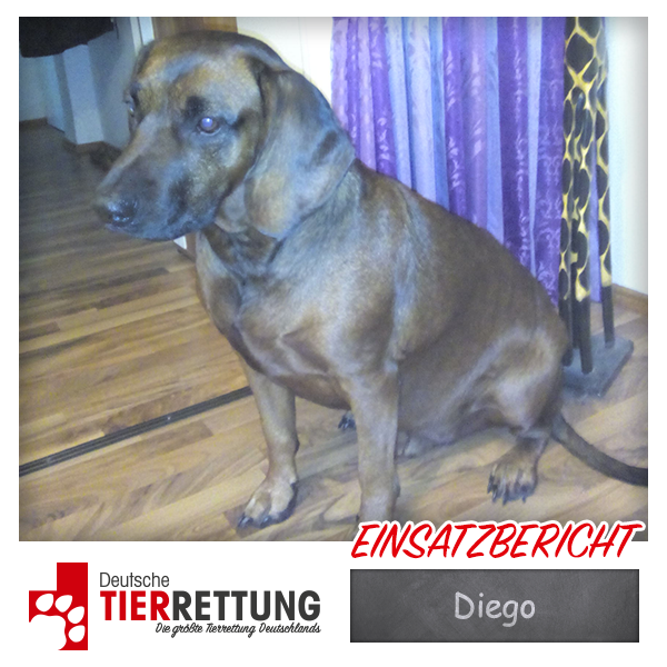 Tierrettung Einsatz: Diego in Bochum