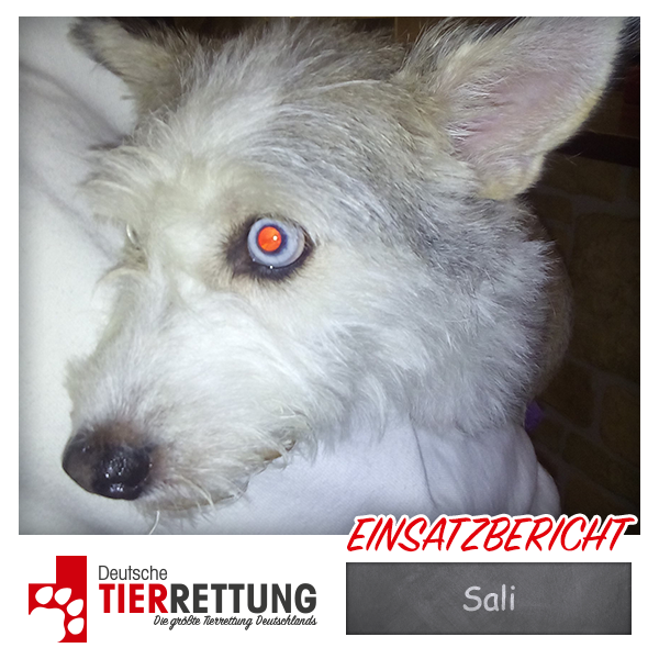 Tierrettung Einsatz: Sali in Oberhausen