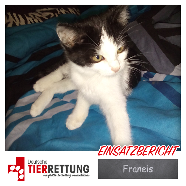 Tierrettung Einsatz: Franeis in Gelsenkirchen