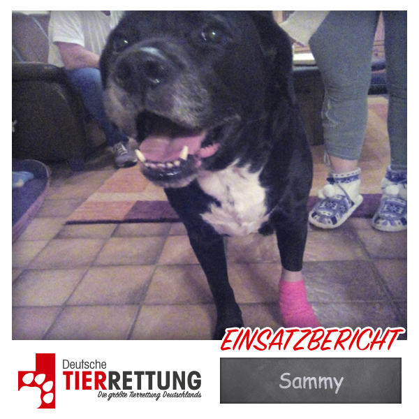 Tierrettung Einsatz: Sammy in Wesel