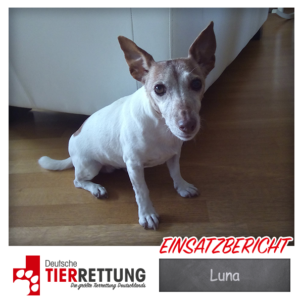 Tierrettung Einsatz: Luna in Duisburg