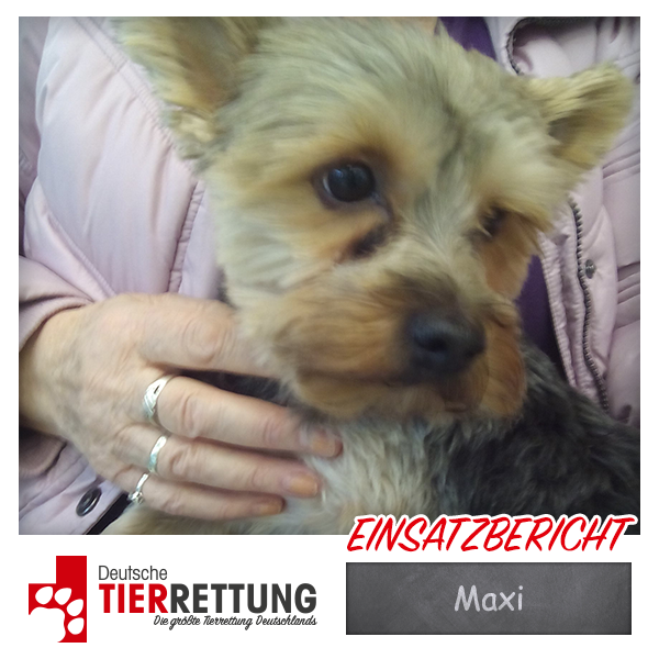 Tierrettung Einsatz: Maxi in Oberhausen