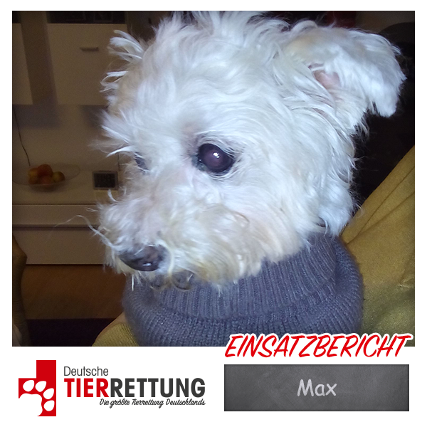 Tierrettung Einsatz: Max in Dorsten