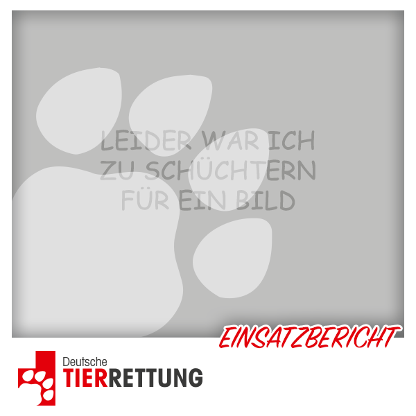 DTR Einsatz: Felix in Duisburg