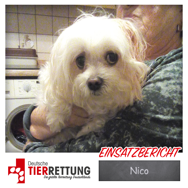 Tierrettung Einsatz: Nico in Castrop-Rauxel