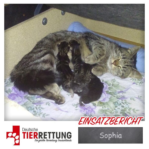 Tierrettung Einsatz: Sophia in Ratingen