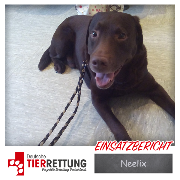 Tierrettung Einsatz: Neelix in Dortmund
