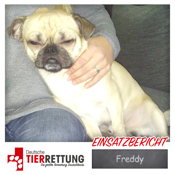 Tierrettung Einsatz: Freddy in Castrop-Rauxel