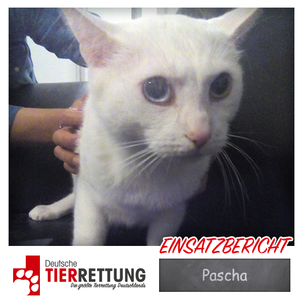 Tierrettung Einsatz: Pascha in Herne