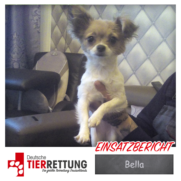 Tierrettung Einsatz: Bella in Mülheim an der Ruhr